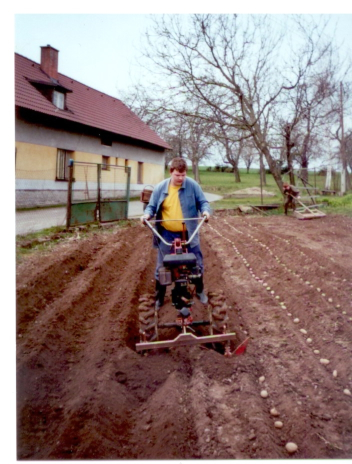 Mr. Jaro zaorává brambory.jpg