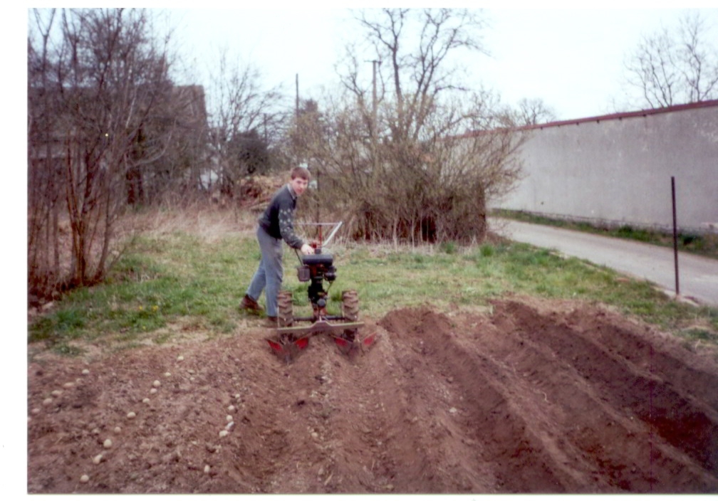 Sája a zaorávání brambor.jpg